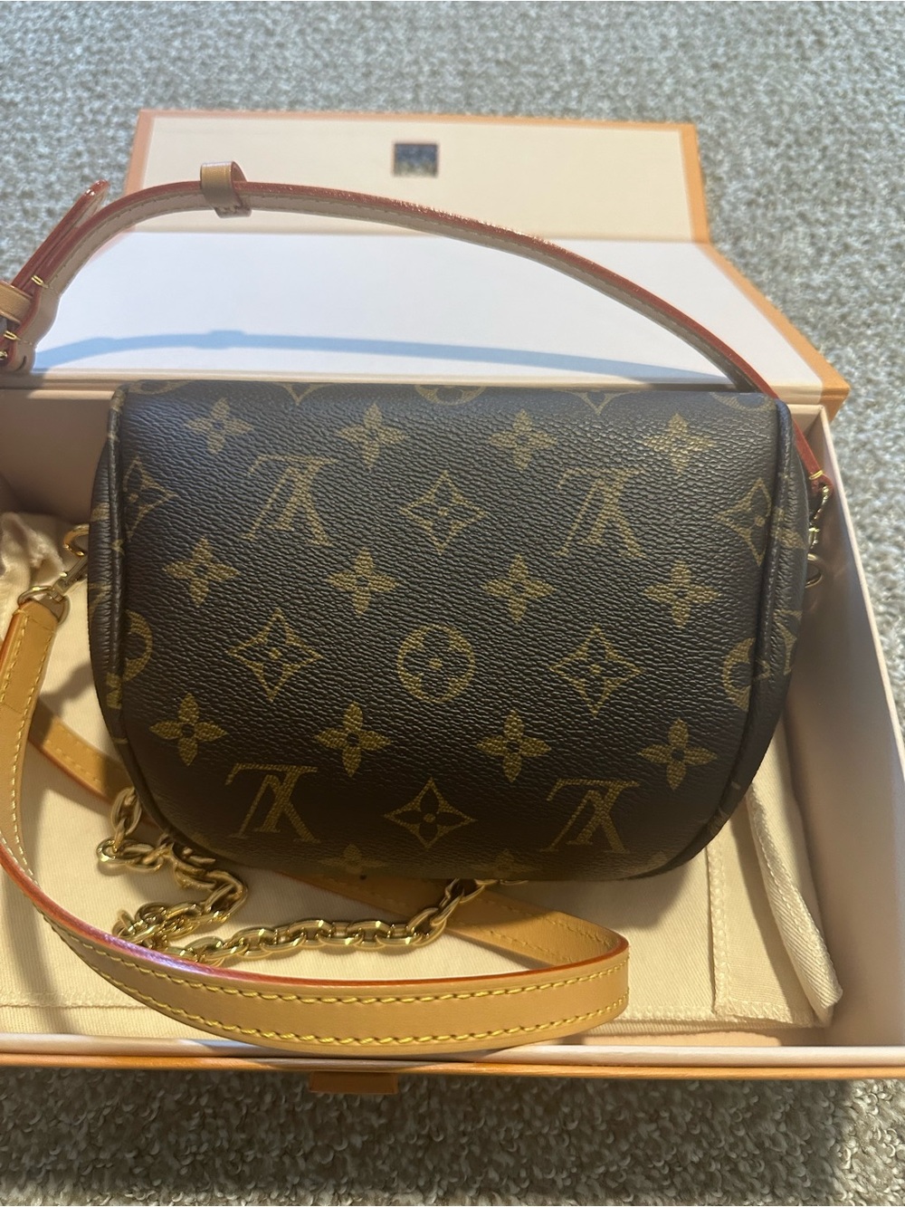 Louis Vuitton Mini Bumbag - Picture 2 of 7